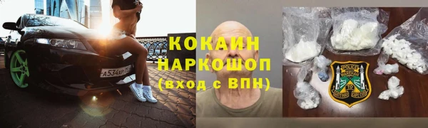 ECSTASY Алзамай