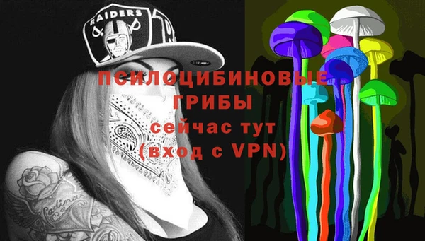 ECSTASY Алзамай