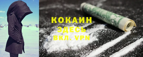 ECSTASY Алзамай