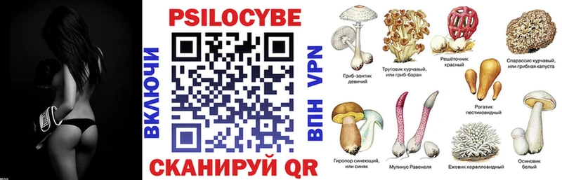 купить   Ясный  Галлюциногенные грибы мицелий 